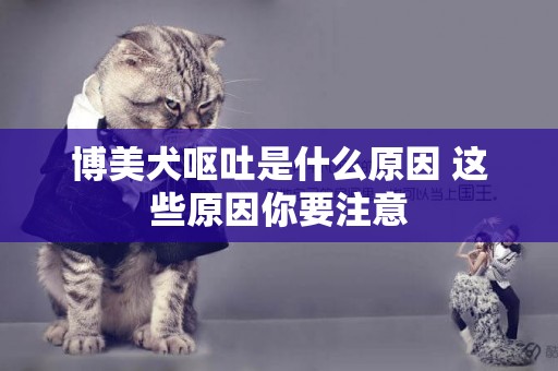 博美犬嘔吐是什么原因 這些原因你要注意