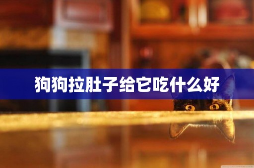 狗狗拉肚子給它吃什么好