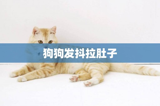 狗狗發抖拉肚子