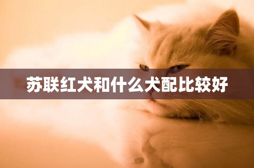 蘇聯紅犬和什么犬配比較好