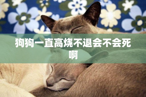 狗狗一直高燒不退會不會死啊