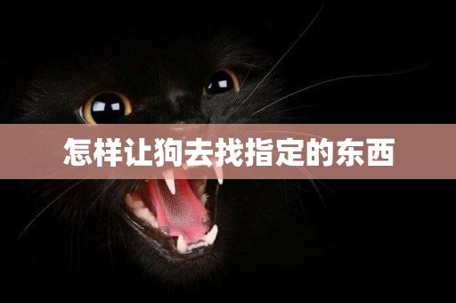 怎樣讓狗去找指定的東西