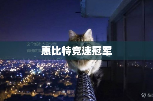 惠比特競速冠軍
