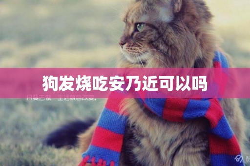 狗發燒吃安乃近可以嗎