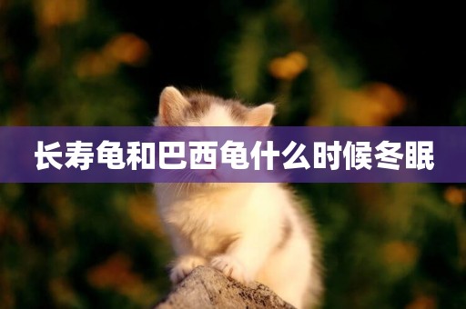 長壽龜和巴西龜什么時候冬眠