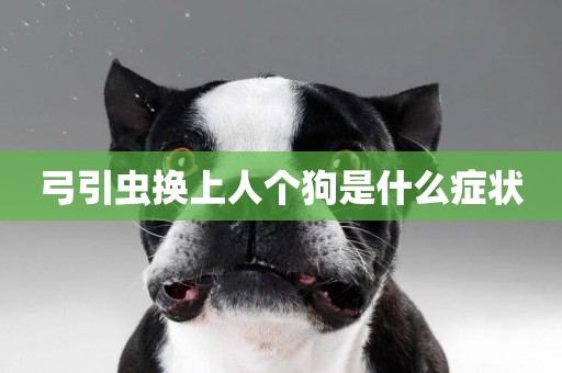 弓引蟲換上人個狗是什么癥狀