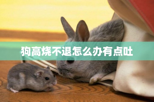 狗高燒不退怎么辦有點吐