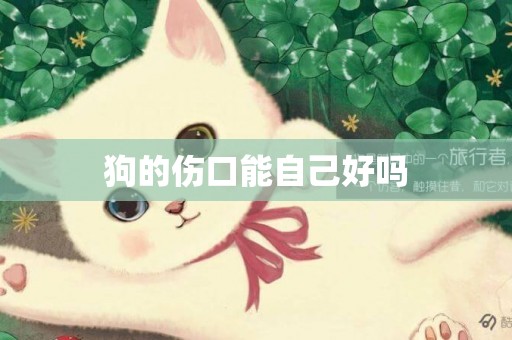 狗的傷口能自己好嗎
