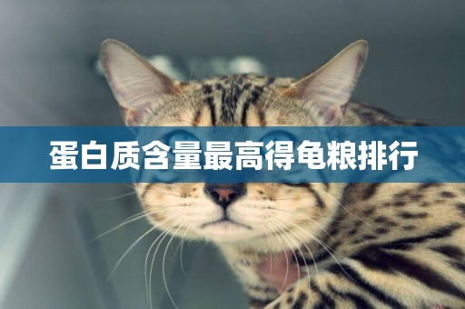 蛋白質含量最高得龜糧排行