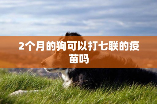2個月的狗可以打七聯的疫苗嗎