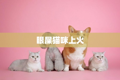 眼屎貓咪上火