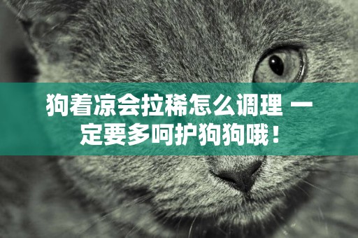 狗著涼會拉稀怎么調理 一定要多呵護狗狗哦！