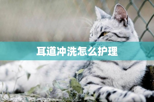 耳道沖洗怎么護理