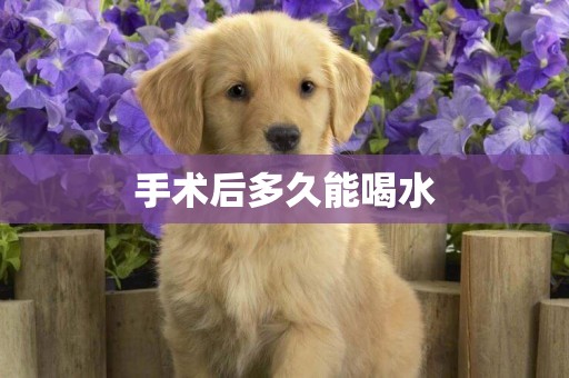 手術后多久能喝水