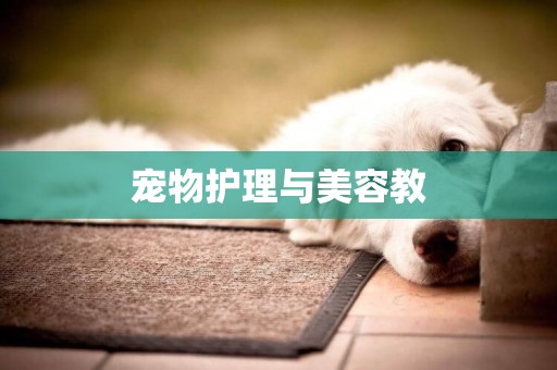 寵物護理與美容教