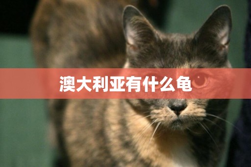 澳大利亞有什么龜