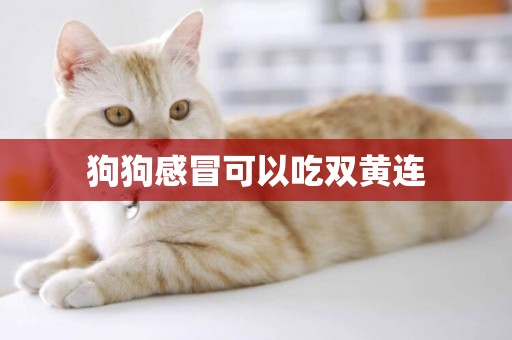 狗狗感冒可以吃雙黃連