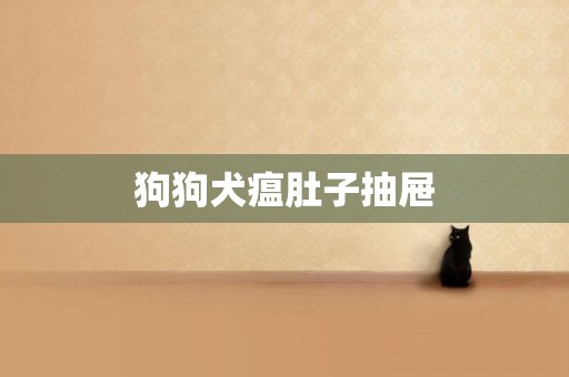 狗狗犬瘟肚子抽屜