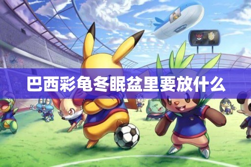 巴西彩龜冬眠盆里要放什么