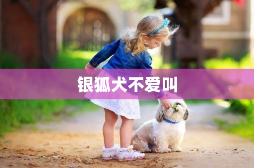 銀狐犬不愛叫