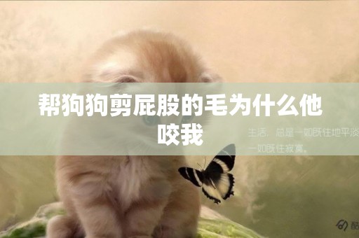 幫狗狗剪屁股的毛為什么他咬我