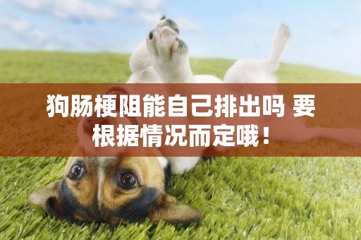 狗腸梗阻能自己排出嗎 要根據情況而定哦！
