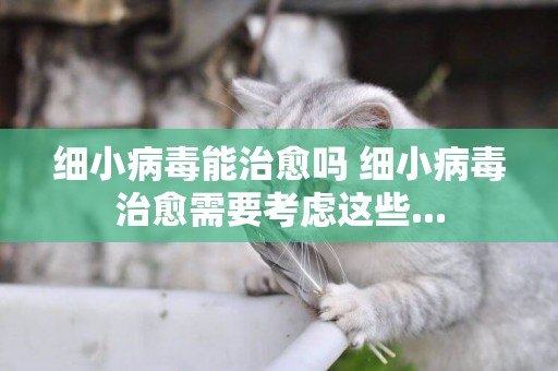細小病毒能治愈嗎 細小病毒治愈需要考慮這些...