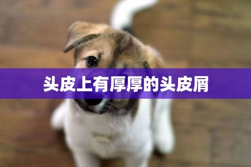頭皮上有厚厚的頭皮屑