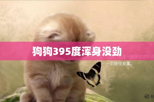 狗狗395度渾身沒勁