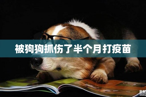 被狗狗抓傷了半個月打疫苗