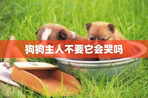 狗狗主人不要它會哭嗎