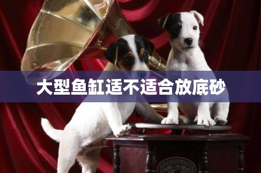 大型魚缸適不適合放底砂