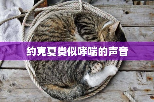 約克夏類似哮喘的聲音