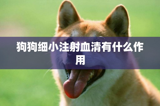 狗狗細小注射血清有什么作用