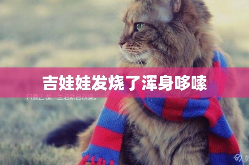 吉娃娃發燒了渾身哆嗦