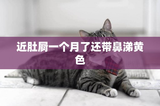 近肚屙一個月了還帶鼻涕黃色