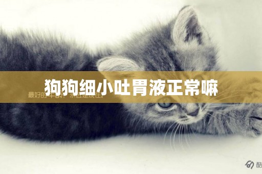 狗狗細小吐胃液正常嘛