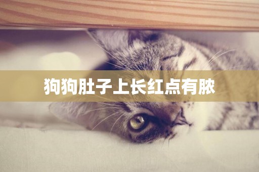 狗狗肚子上長紅點有膿