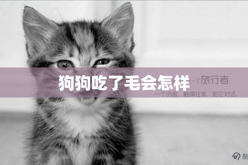 狗狗吃了毛會怎樣