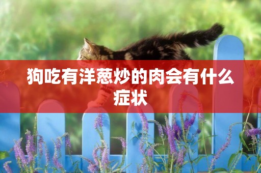 狗吃有洋蔥炒的肉會有什么癥狀