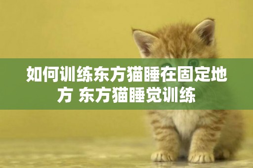如何訓練東方貓睡在固定地方 東方貓睡覺訓練