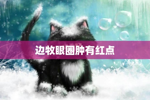 邊牧眼圈腫有紅點