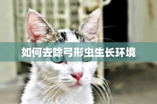 如何去除弓形蟲生長環境