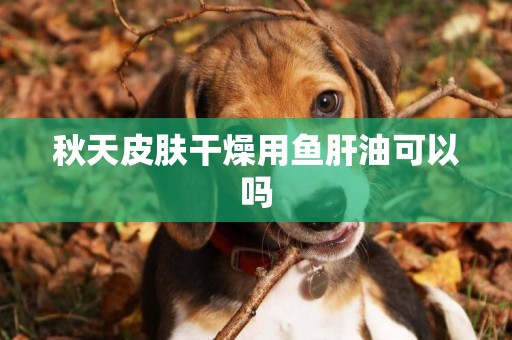 秋天皮膚干燥用魚肝油可以嗎