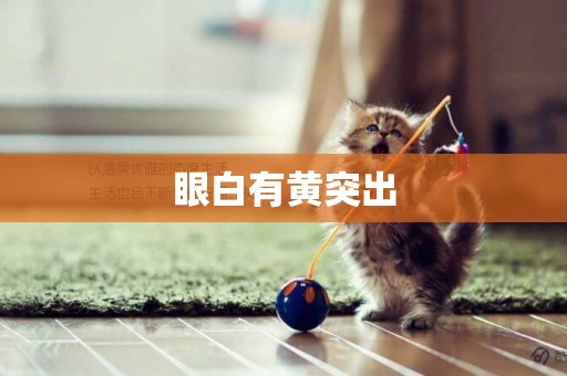 眼白有黃突出