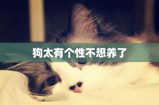狗太有個性不想養了