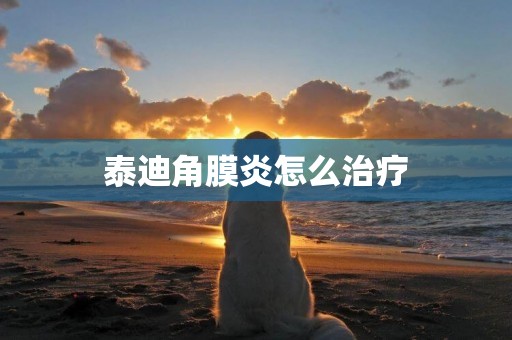 泰迪角膜炎怎么治療