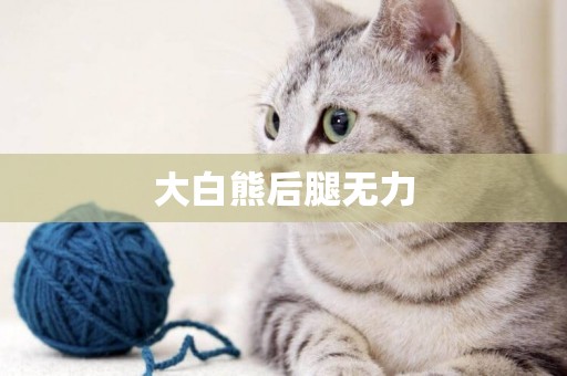 大白熊后腿無力