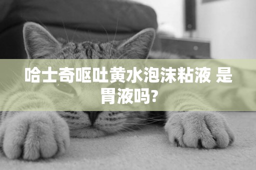 哈士奇嘔吐黃水泡沫粘液 是胃液嗎?