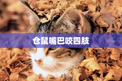 倉鼠嘴巴咬四肢
